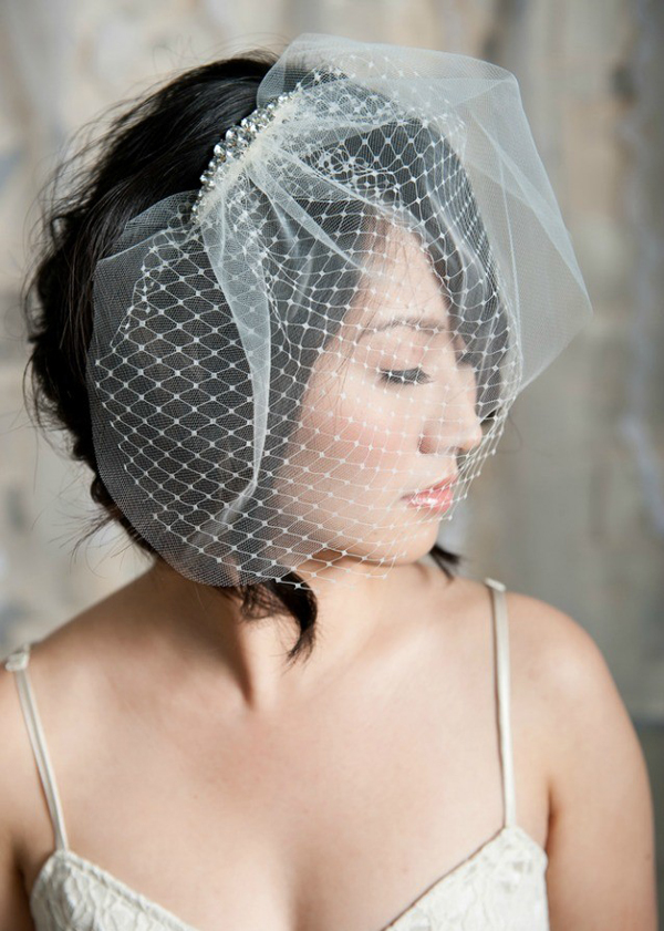 Wedding Hairstyles with Birdcage Veil