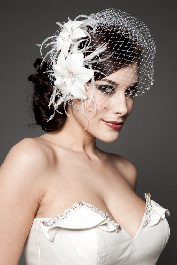 bridal hairstyle with birdcage veil