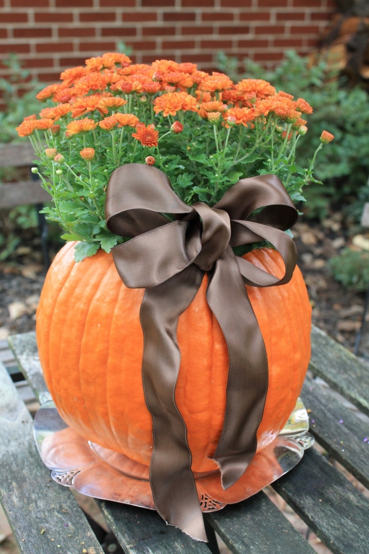 Awesome Outdoor Fall Wedding Decor
