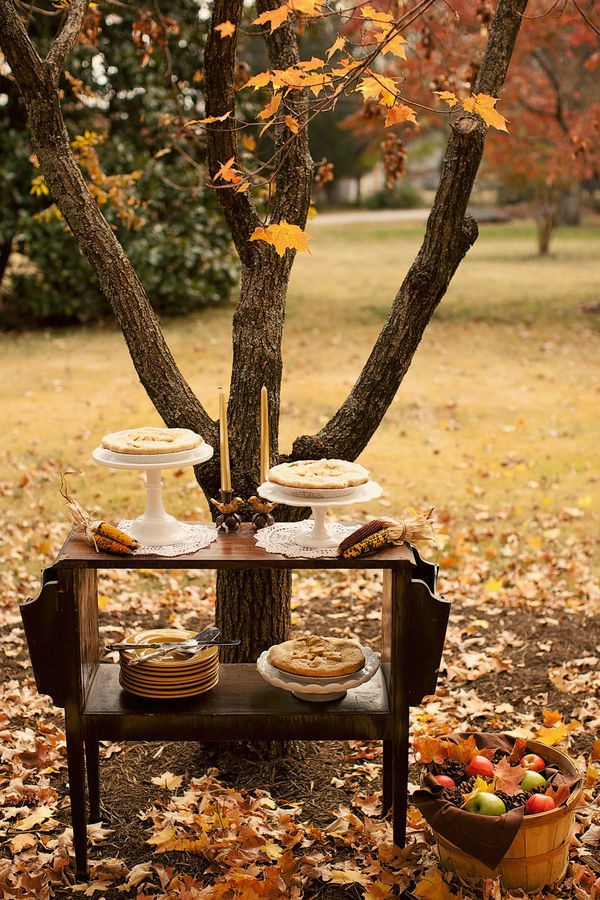 Awesome Outdoor Fall Wedding Ideas