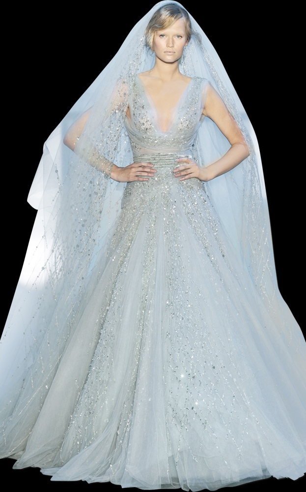 Blue Winter Wedding Dress