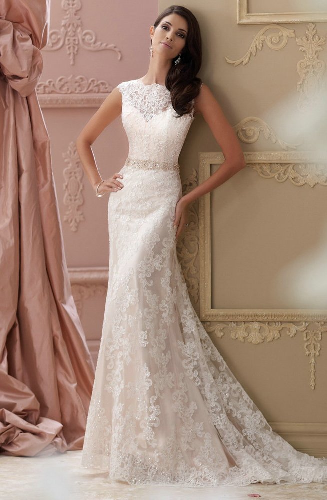Popular Lace Fit and Flare Wedding Dresses