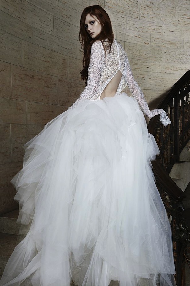 Stunning Vera Wang Wedding Dresses