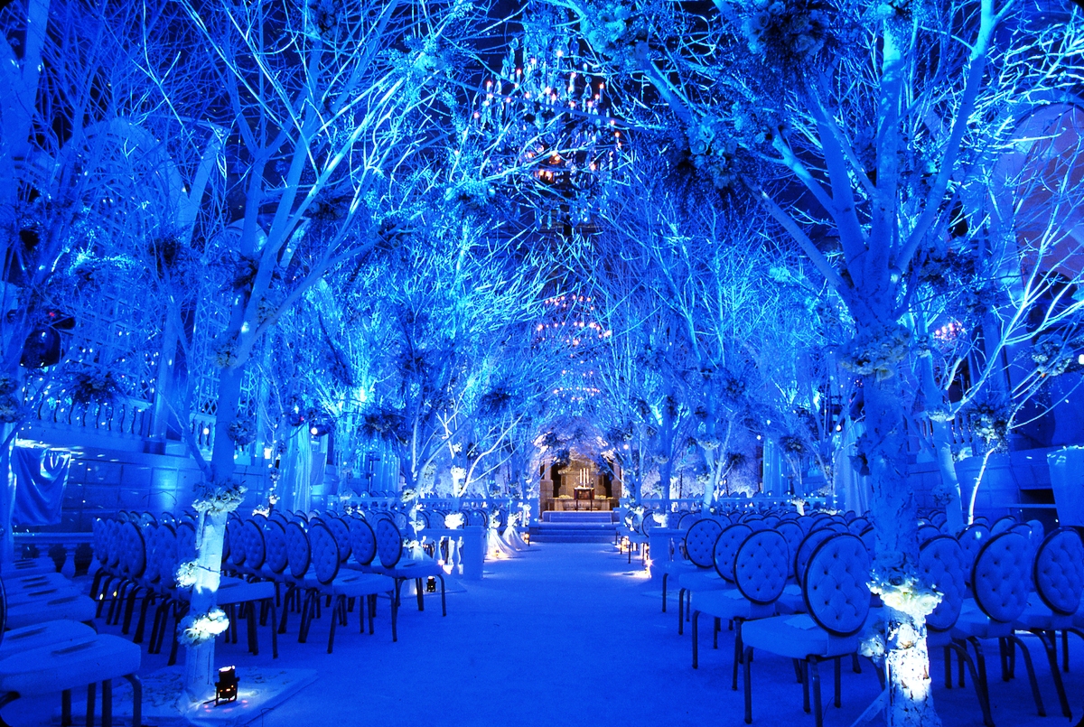 Beautiful Wedding Lights Decorations