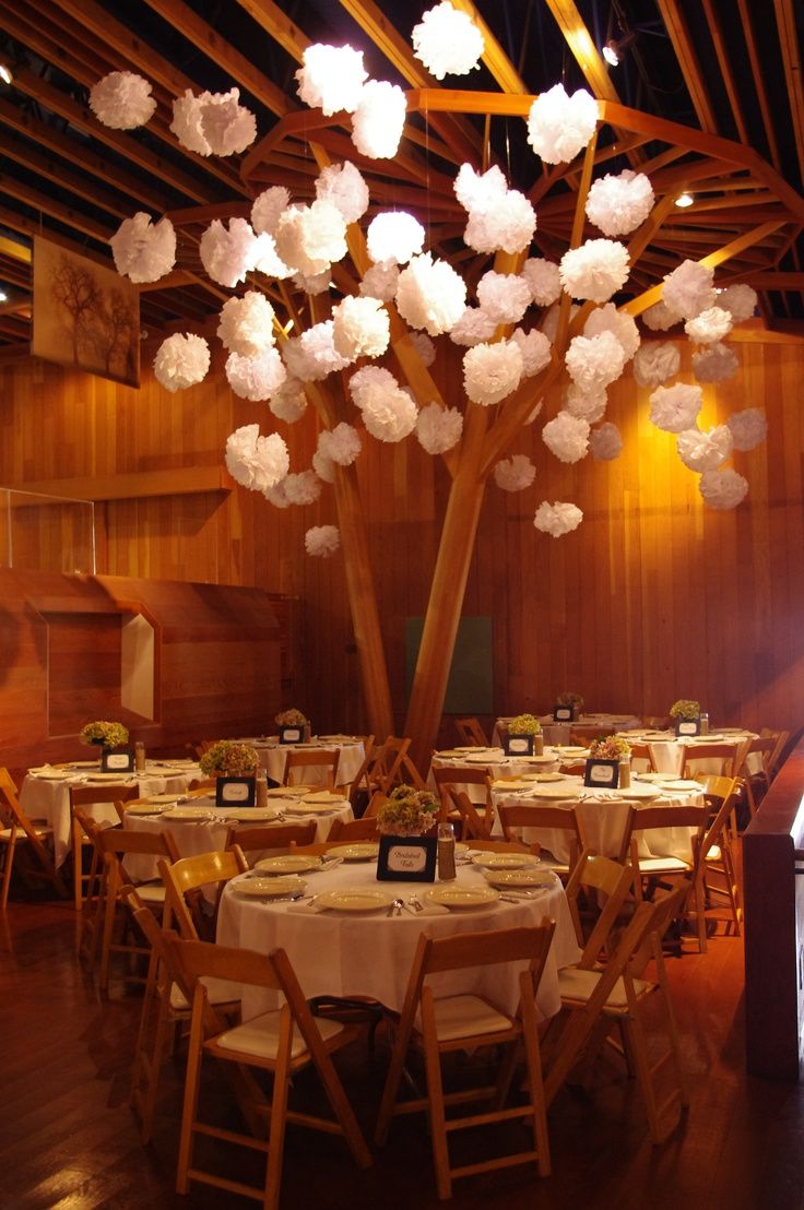 Redwood Tree Wedding Hall Decorations