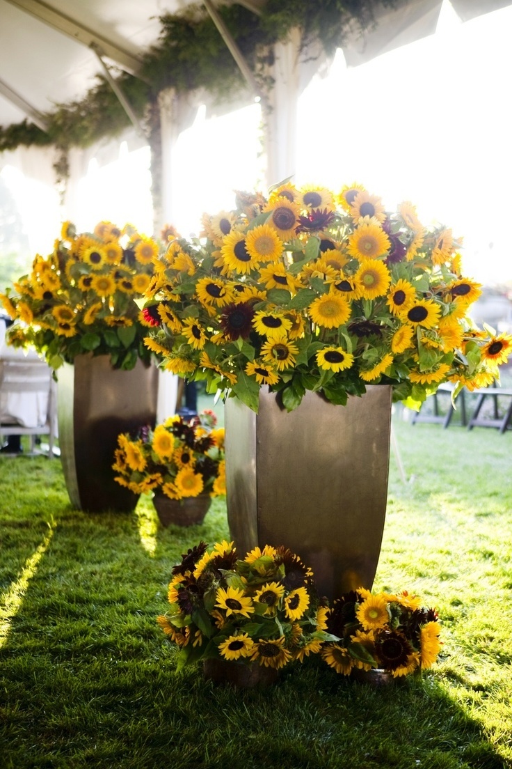 Sunflower Wedding Flower Arrangements Decorations