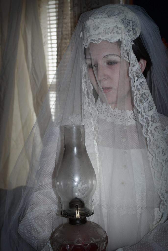 Miss Havisham Halloween Wedding Dress Costume